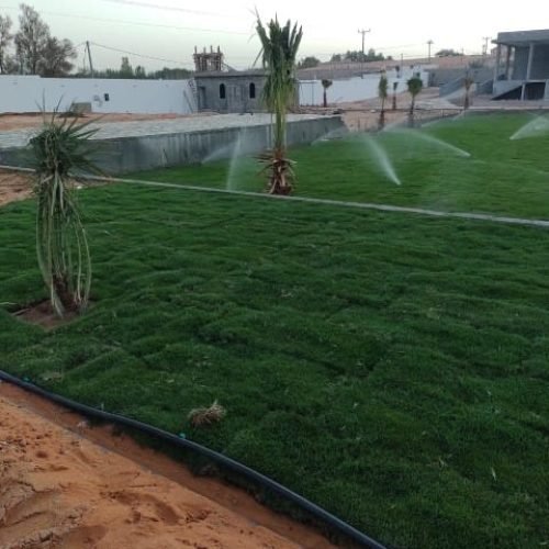 تنسيق حدائق الرياض (33)